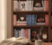 sports romance books guide featured image